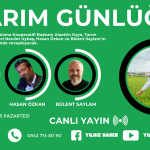 Alaattin Kaya