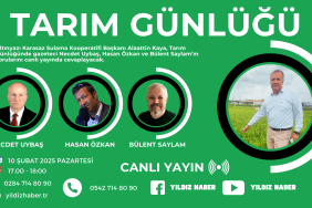 Alaattin Kaya