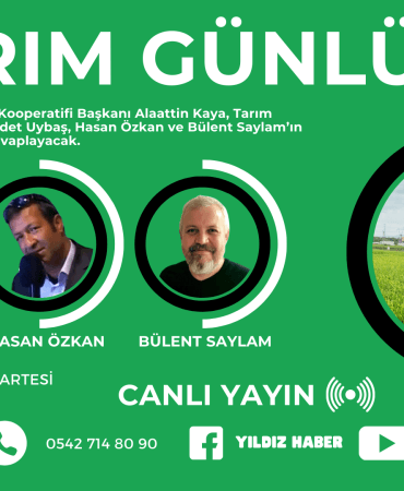 Alaattin Kaya