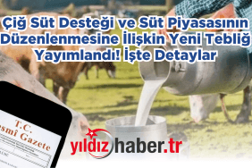 Çiğ Süt Desteği ve Süt Piyasasının Düzenlenmesine İlişkin Yeni Tebliğ Yayımlandı! İşte Detaylar