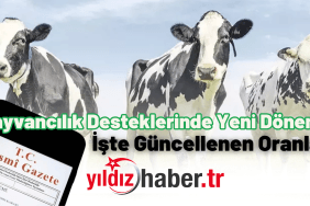 Hayvancılık Desteklerinde Yeni Dönem!