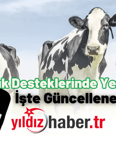 Hayvancılık Desteklerinde Yeni Dönem!