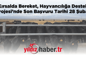 Kırsalda Bereket, Hayvancılığa Destek Projesi’nde Son Başvuru Tarihi 28 Şubat