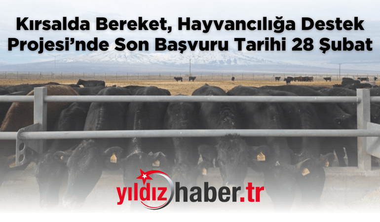 Kırsalda Bereket, Hayvancılığa Destek Projesi’nde Son Başvuru Tarihi 28 Şubat