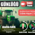 MARKASİZ