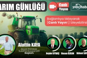 MARKASİZ