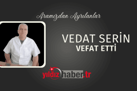 Vedat serin
