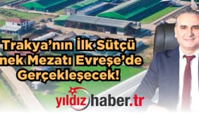 dost-mezat-trakya