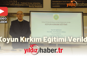 Koyun Kırkım Eğitimi Verildi