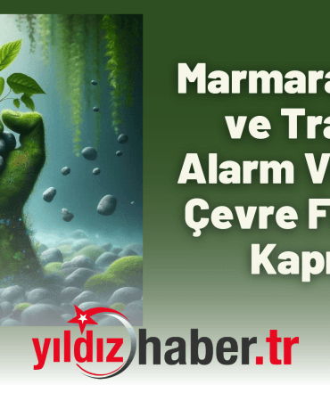 Marmara Denizi ve Trakya Alarm Veriyor Çevre Felaketi Kapıda!