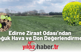 Edirne Ziraat Odası’ndan Soğuk Hava ve Don Değerlendirmesi