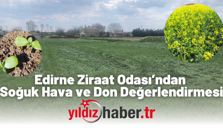 Edirne Ziraat Odası’ndan Soğuk Hava ve Don Değerlendirmesi