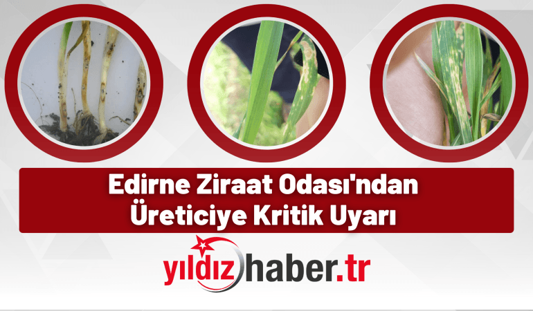 Edirne Ziraat Odası’ndan Üreticiye Kritik Uyarı