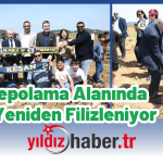 Eski Depolama Alanında Hayat Yeniden Filizleniyor