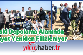 Eski Depolama Alanında Hayat Yeniden Filizleniyor