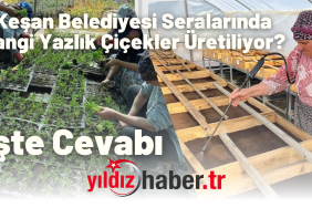 Keşan Belediyesi Seralarında Hangi Yazlık Çiçekler Üretiliyor