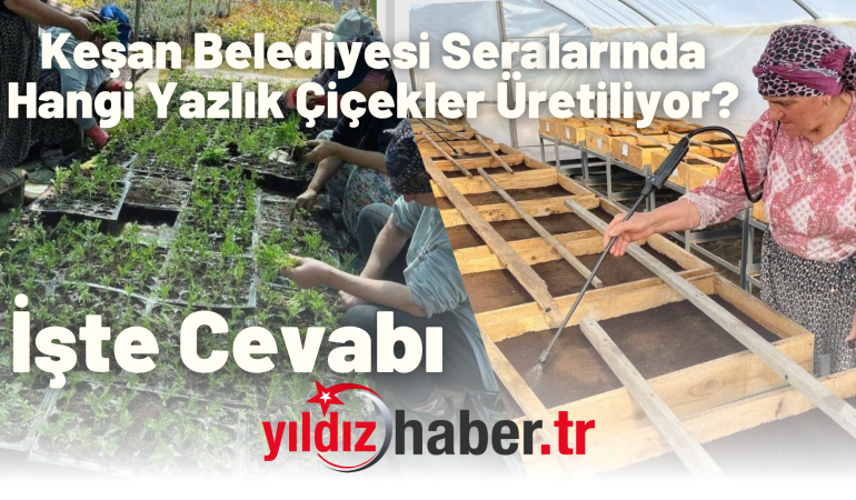 Keşan Belediyesi Seralarında Hangi Yazlık Çiçekler Üretiliyor? İşte Cevabı