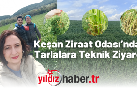 Keşan Ziraat Odası’ndan Buğday ve Arpa Tarlalarına Teknik Ziyaret