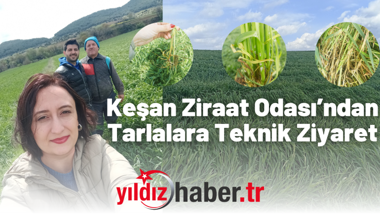 Keşan Ziraat Odası’ndan Tarlalara Teknik Ziyaret