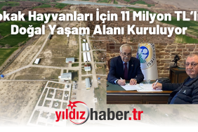 Keşan’da Sokak Hayvanları İçin 11 Milyon TL’lik Doğal Yaşam Alanı Kuruluyor