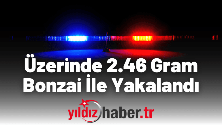 Üzerinde 2.46 Gram Bonzai İle Yakalandı