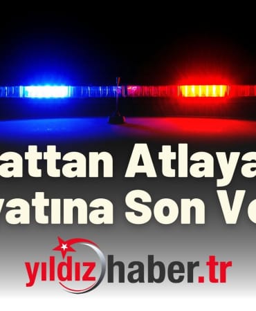 2. Kattan Atlayarak Hayatına Son Verdi