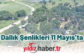 Dallık Şenlikleri 11 Mayıs’ta