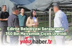 Edirne Belediyesi Seralarında 350 Bin Mevsimlik Çiçek Üretildi