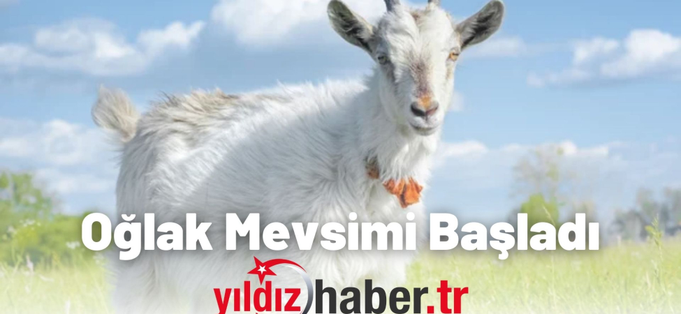 Oğlak Mevsimi Başladı