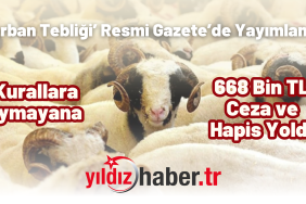‘Kurban Tebliği’ Resmi Gazete’de Yayımlandı Kurallara Uymayana 668 Bin TL Ceza ve Hapis Yolda