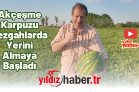 Akçeşme Karpuzu Tezgahlarda Yerini Almaya Başladı
