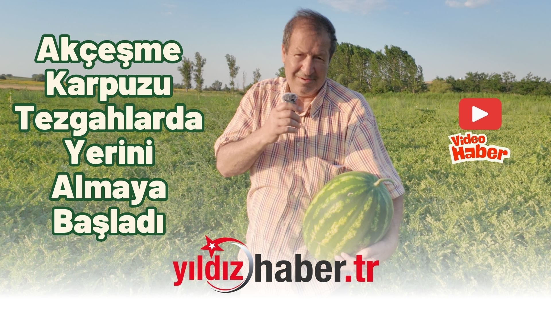 Akçeşme Karpuzu Tezgahlarda Yerini Almaya Başladı