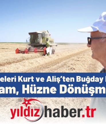 CHP’li Meclis Üyeleri Kurt ve Aliş’ten Buğday Hasadı Ziyareti