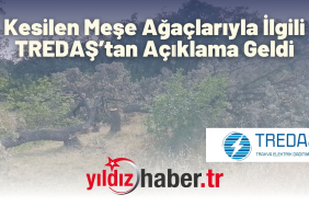 Kesilen Meşe Ağaçlarıyla İlgili TREDAŞ’tan Açıklama Geldi