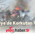 Mecidiye'de Korkutan Yangın