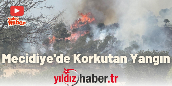 Mecidiye'de Korkutan Yangın