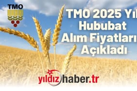 TMO 2025 Yılı Hububat Alım Fiyatlarını Açıkladı Makarna Buğdayı 13.500 TL, Arpa 11.000 TL
