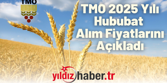 TMO 2025 Yılı Hububat Alım Fiyatlarını Açıkladı Makarna Buğdayı 13.500 TL, Arpa 11.000 TL