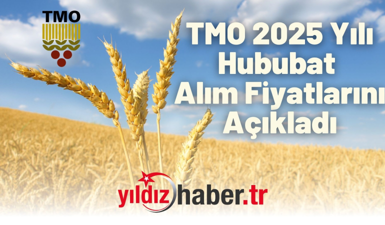 TMO 2025 Yılı Hububat Alım Fiyatlarını Açıkladı