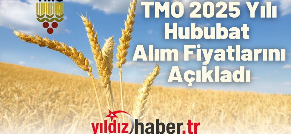 TMO 2025 Yılı Hububat Alım Fiyatlarını Açıkladı Makarna Buğdayı 13.500 TL, Arpa 11.000 TL
