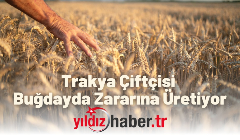 Trakya Çiftçisi Buğdayda Zararına Üretiyor