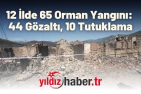 12 İlde 65 Orman Yangını