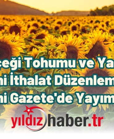 Ayçiçeği Tohumu ve Yağında Yeni İthalat Düzenlemesi Resmi Gazete'de Yayımlandı
