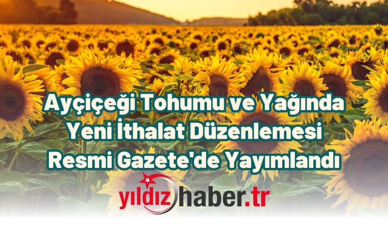 Ayçiçeği Tohumu ve Yağında Yeni İthalat Düzenlemesi Resmi Gazete’de Yayımlandı