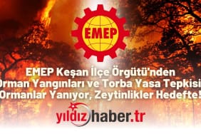 EMEP Keşan İlçe Örgütü'nden Orman Yangınları ve Torba Yasa Tepkisi Ormanlar Yanıyor, Zeytinlikler Hedefte!