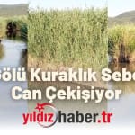 Enez'deki Gala Gölü Kuraklık Sebebiyle Can Çekişiyor Çiftçiden Çarpıcı Video
