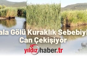 Enez'deki Gala Gölü Kuraklık Sebebiyle Can Çekişiyor Çiftçiden Çarpıcı Video