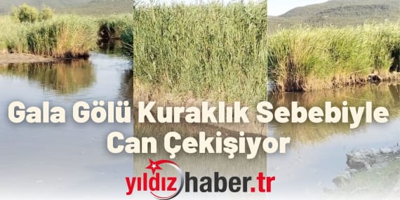 Enez'deki Gala Gölü Kuraklık Sebebiyle Can Çekişiyor Çiftçiden Çarpıcı Video