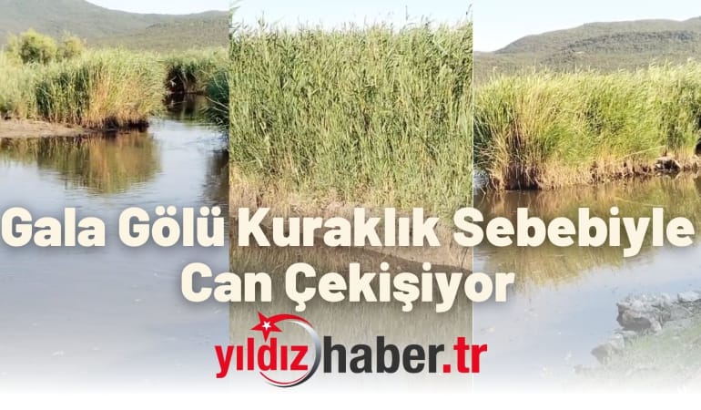 Gala Gölü Kuraklık Sebebiyle Can Çekişiyor