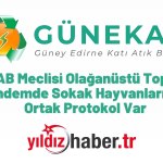 GÜNEKAB Meclisi Olağanüstü Toplanıyor